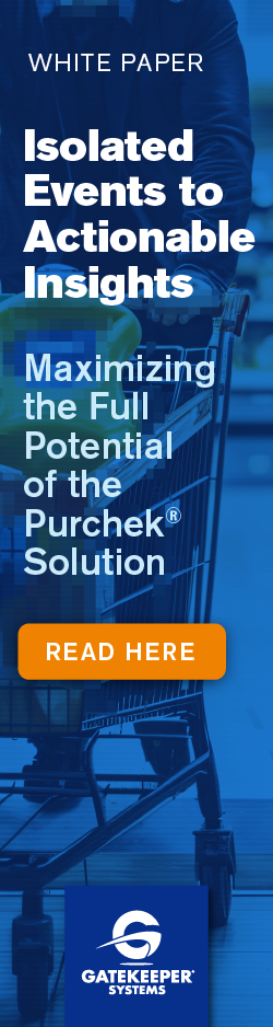 2025 Actionable Insights Whitepaper_Exec Briefing Side Banner 120 x 450