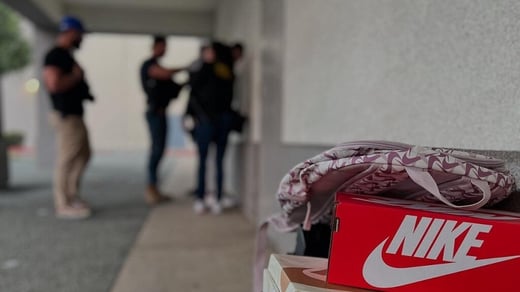 Retail-Theft-Blitz