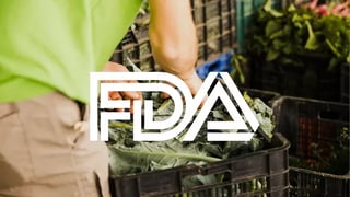 person-rifling-through-crates-of-produce-FDA-logo-overlay[1]